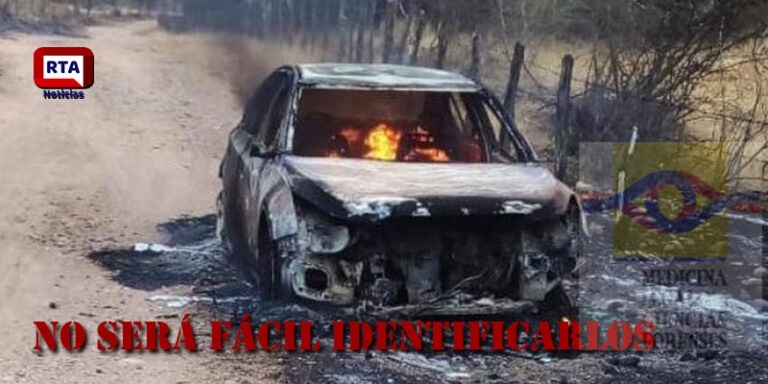 INCINERADOS
