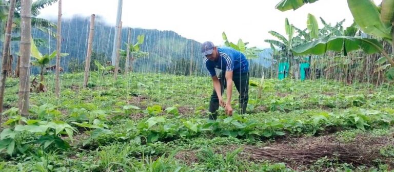 MINAGRICULTURA