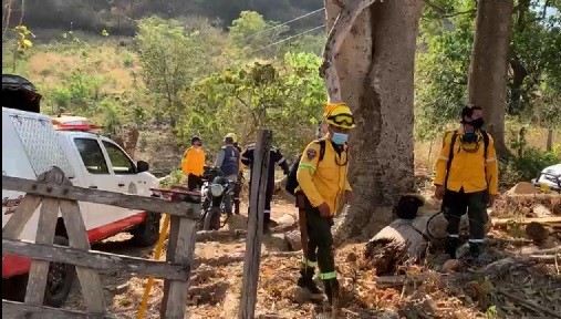 Atienden emergencia por incendios forestales | RTA Noticias