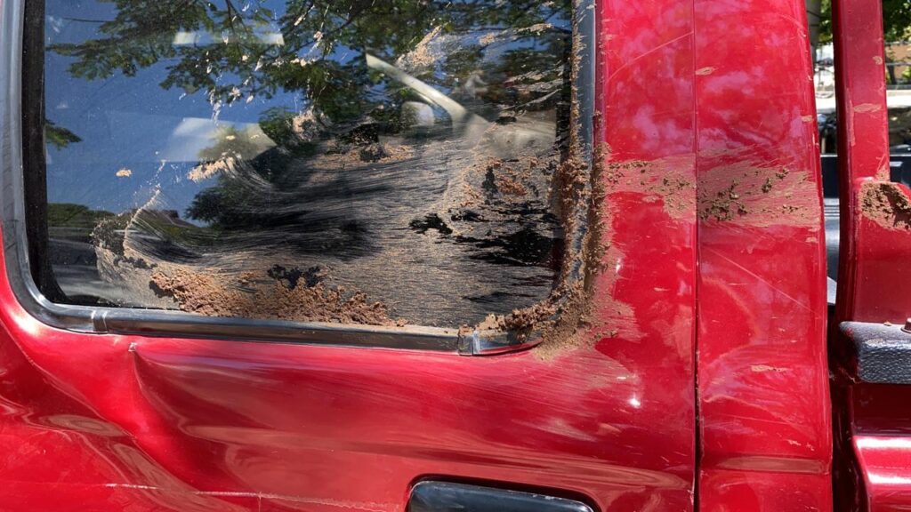 Así fue el accidente del ex concejal Yesith Triana | RTA Noticias