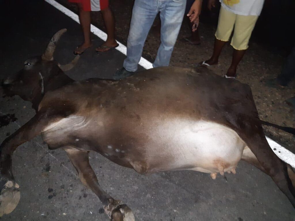 Así fue el accidente del ex concejal Yesith Triana | RTA Noticias