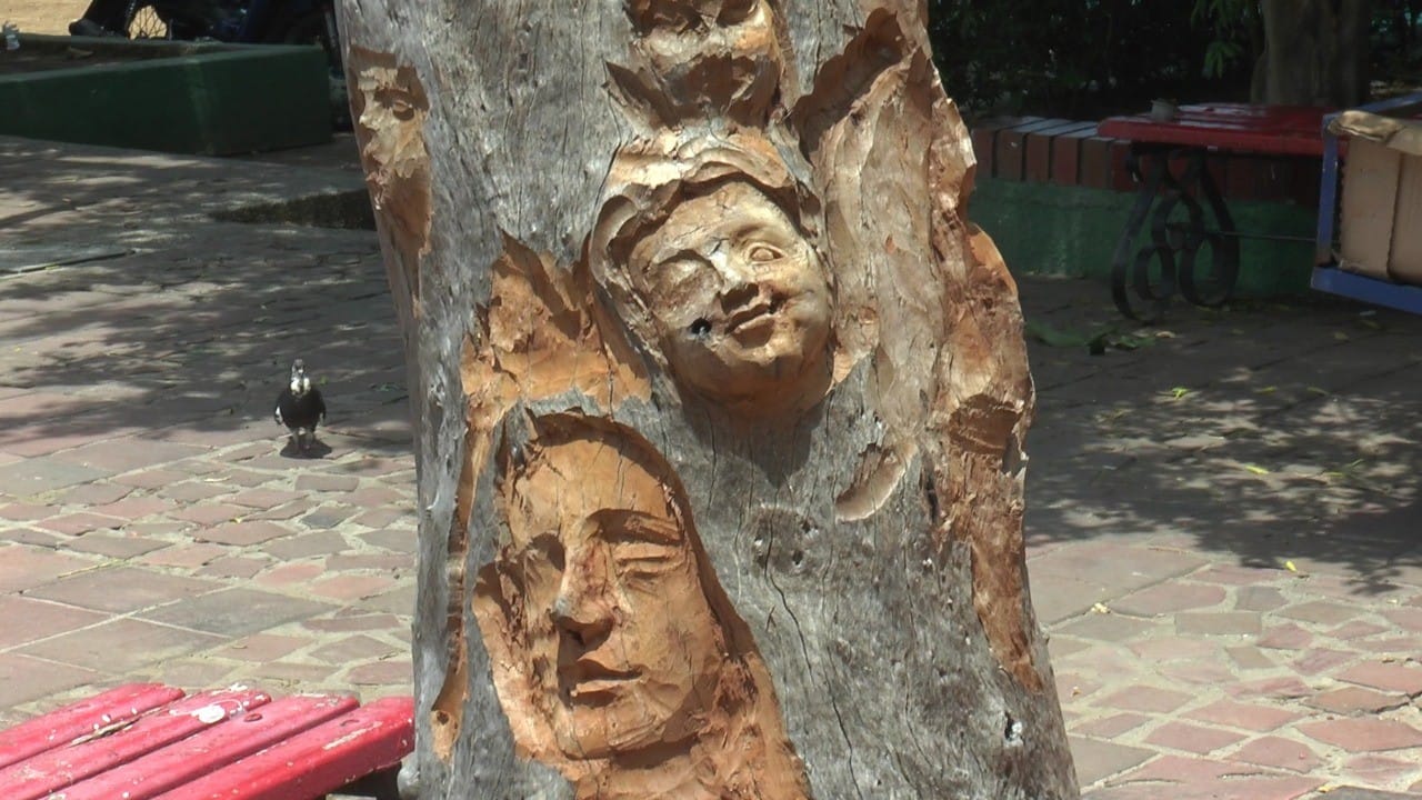 Cristo tallado en un árbol se está deteriorando | RTA Noticias