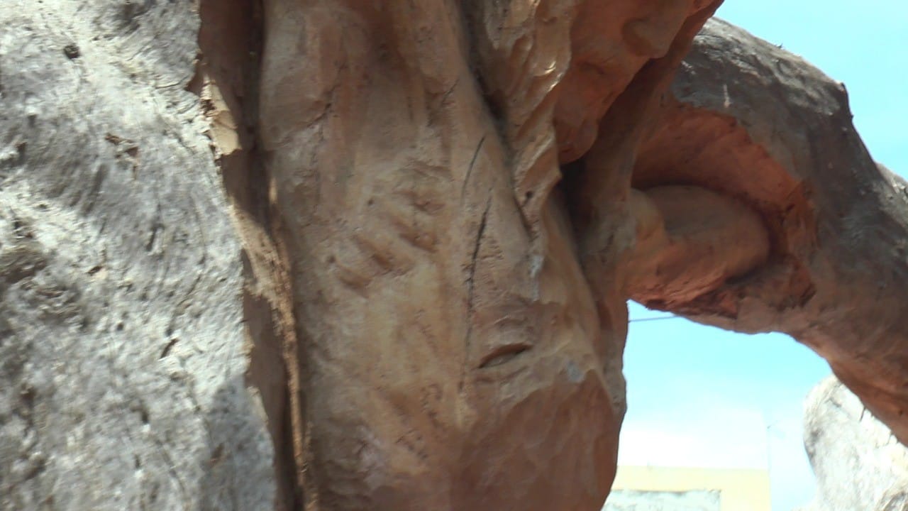 Cristo tallado en un árbol se está deteriorando | RTA Noticias
