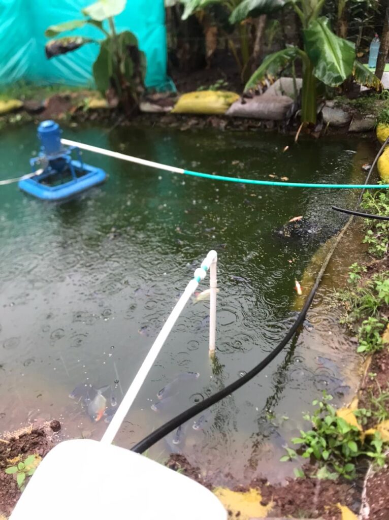 Habitantes de San Diego denuncian cortes de energía eléctrica | RTA Noticias