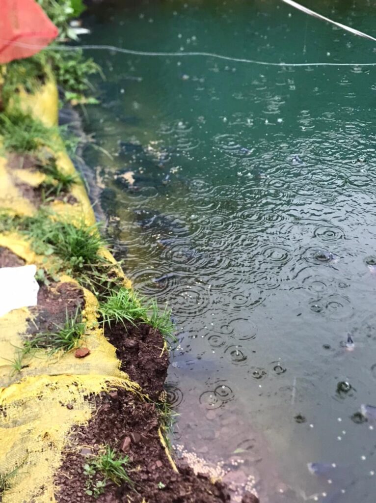 Habitantes de San Diego denuncian cortes de energía eléctrica | RTA Noticias