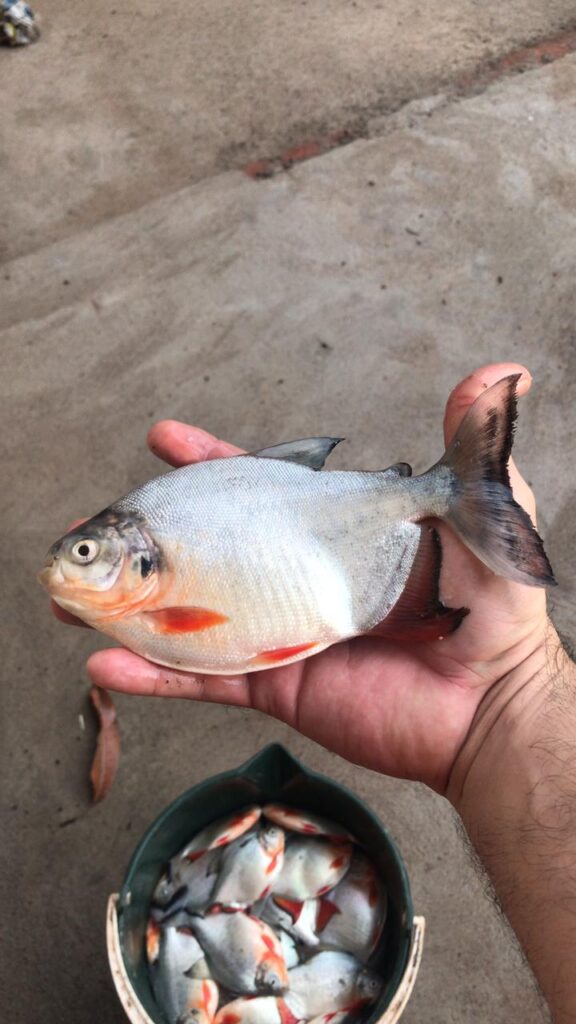 Habitantes de San Diego denuncian cortes de energía eléctrica | RTA Noticias