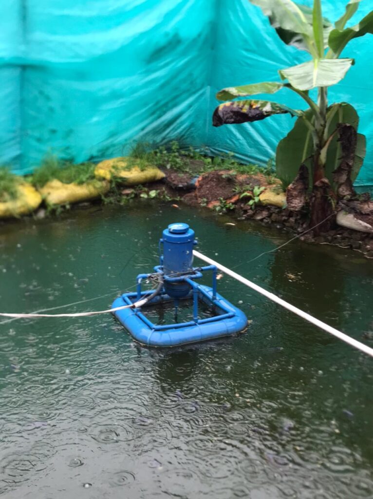 Habitantes de San Diego denuncian cortes de energía eléctrica | RTA Noticias