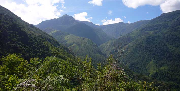 Delincuentes atacaron a médico en vía San Diego Codazzi | RTA Noticias