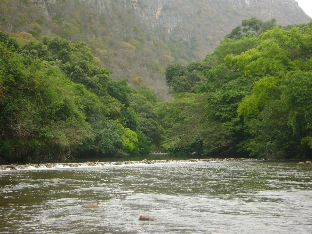 Buscan a Vallenato que cayó al río Ranchería Buscan a Vallenato que cayó al río Ranchería | RTA Noticias