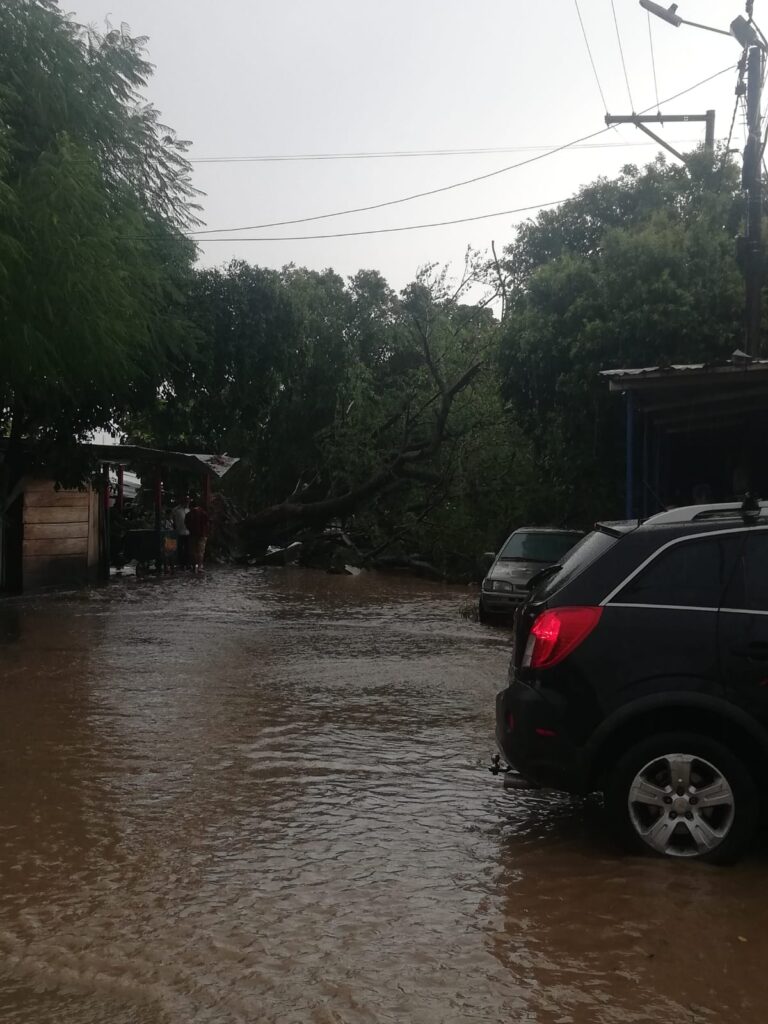 Estragos en Aguachica por fuerte aguacero | RTA Noticias