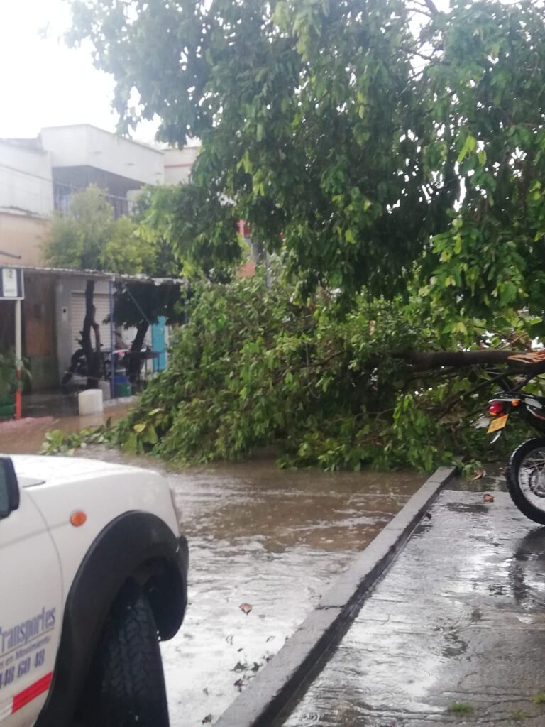 Estragos en Aguachica por fuerte aguacero | RTA Noticias