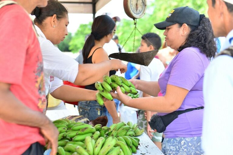 Foto de ingresos por Mercado Campesino