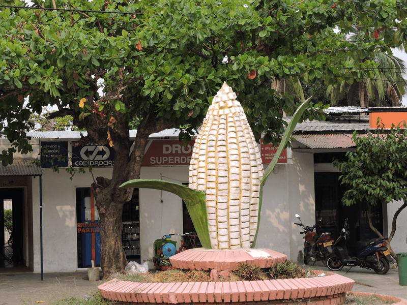 Asesinan a habitante de calle en Pelaya, Cesar | RTA Noticias