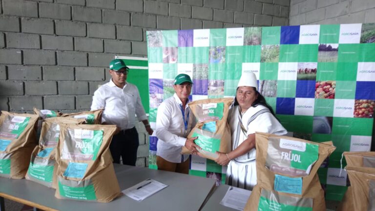 Proyecto de fríjol biofortificado en el Cesar Foto de proyecto de frijol biofortificado