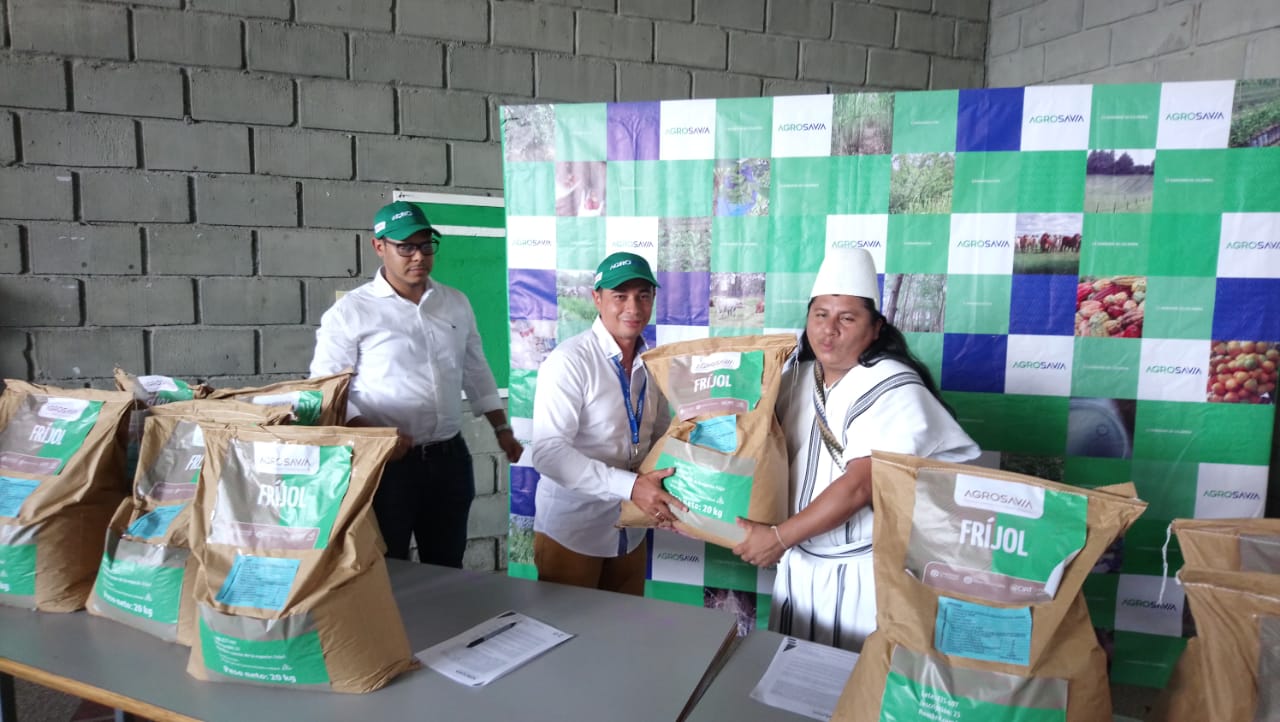 Foto de proyecto de frijol biofortificado