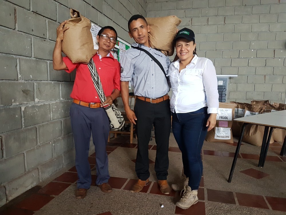 Proyecto de fríjol biofortificado en el Cesar | RTA Noticias