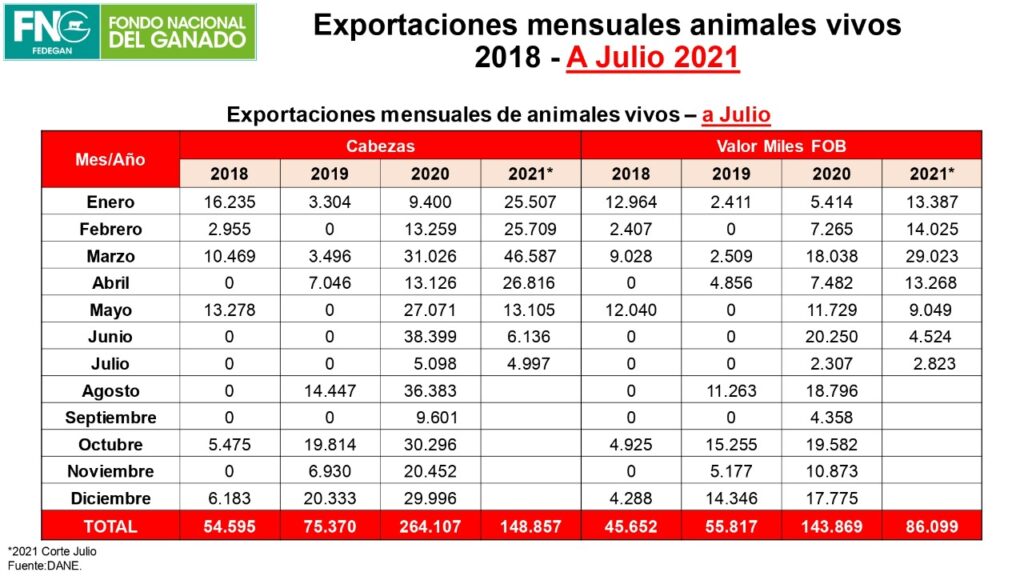 Colombia aumenta la exportación de carne en el 2021 Colombia aumenta la exportación de carne en el 2021 | RTA Noticias