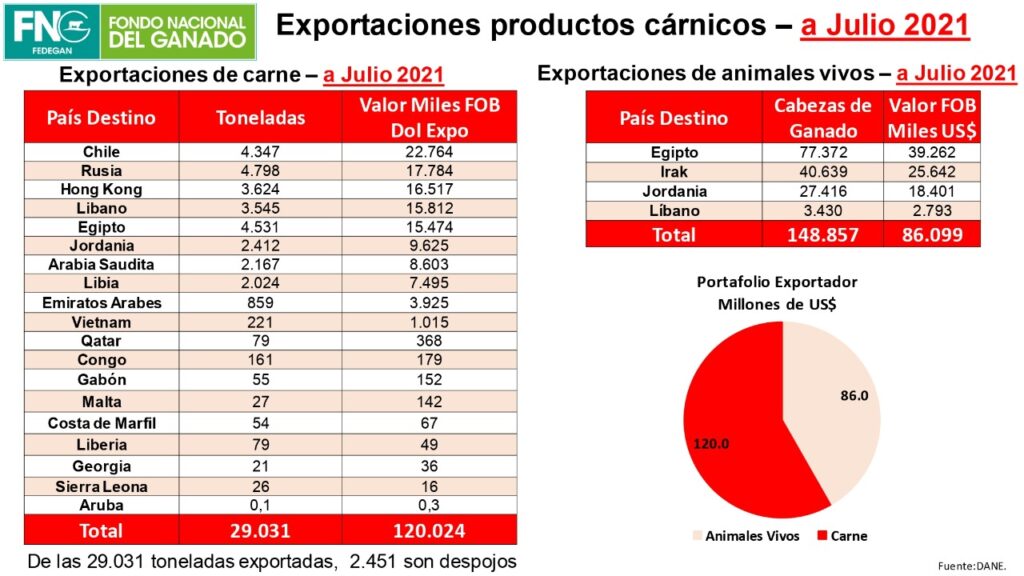 Colombia aumenta la exportación de carne en el 2021 Colombia aumenta la exportación de carne en el 2021 | RTA Noticias