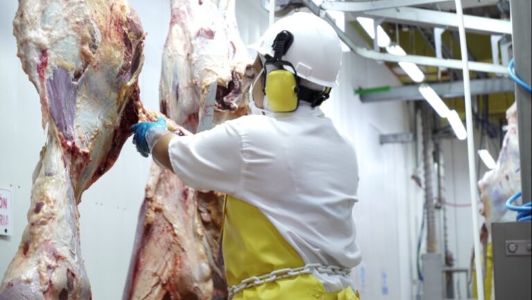 Colombia aumenta la exportación de carne en el 2021 Foto de exportación de carne