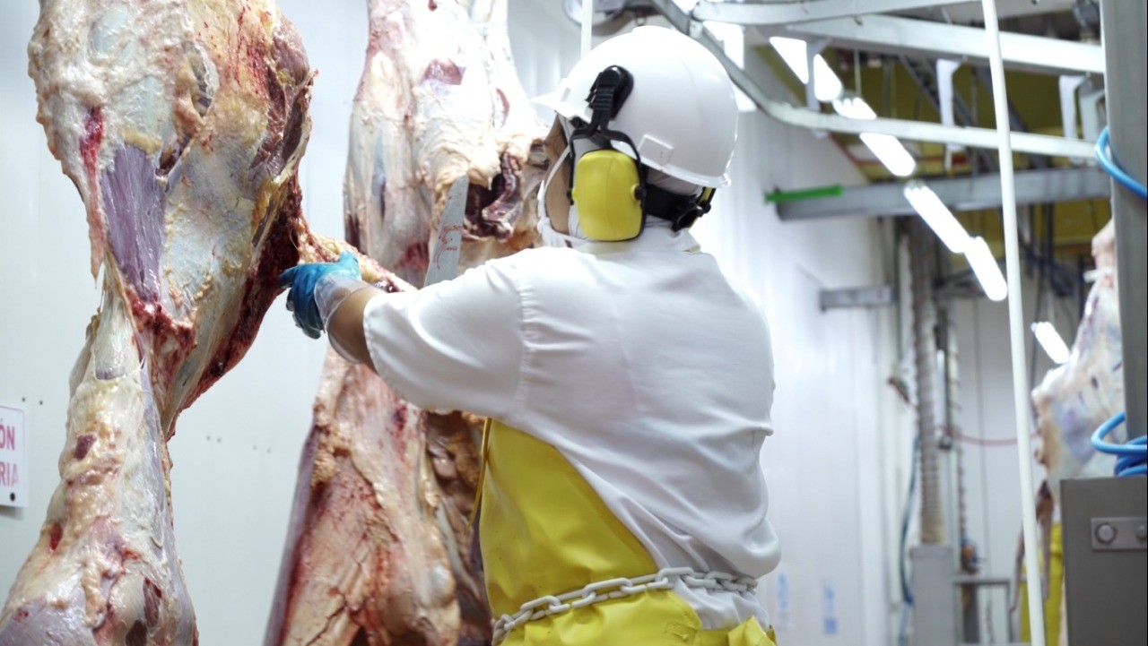 Colombia aumenta la exportación de carne en el 2021 Foto de exportación de carne