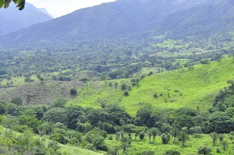 Preocupación por hechos violentos en la Serranía del Perijá | RTA Noticias