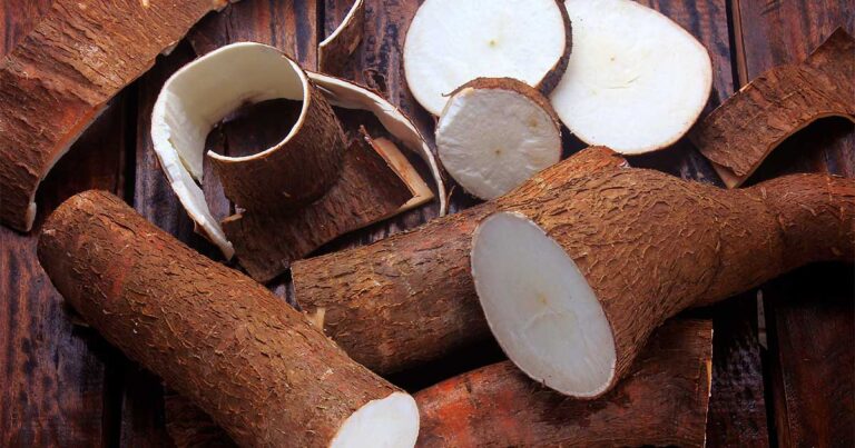 Yuca colombiana