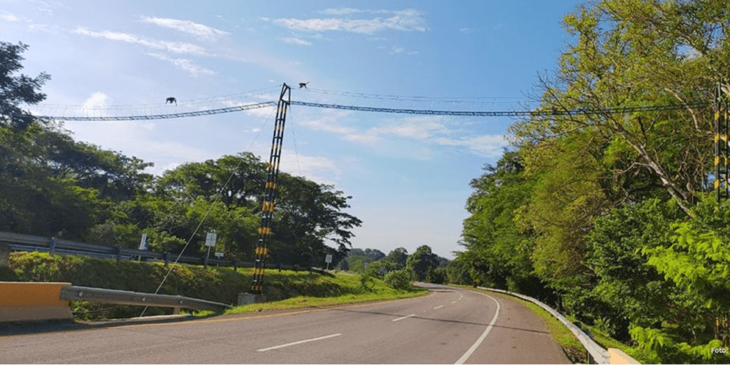 Trabajador de Drummond murió en accidente de tránsito | RTA Noticias