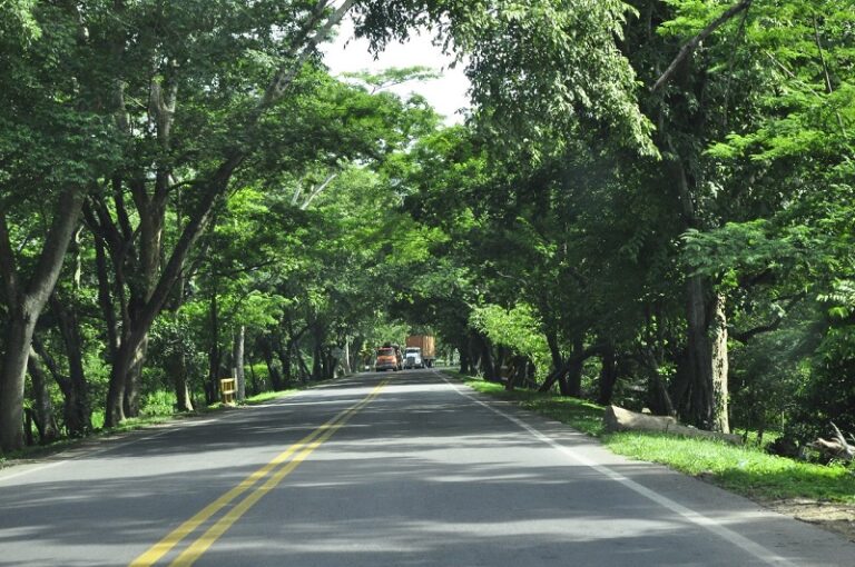 Foto de Secretario de Transito desmiente noticia de fotomulta