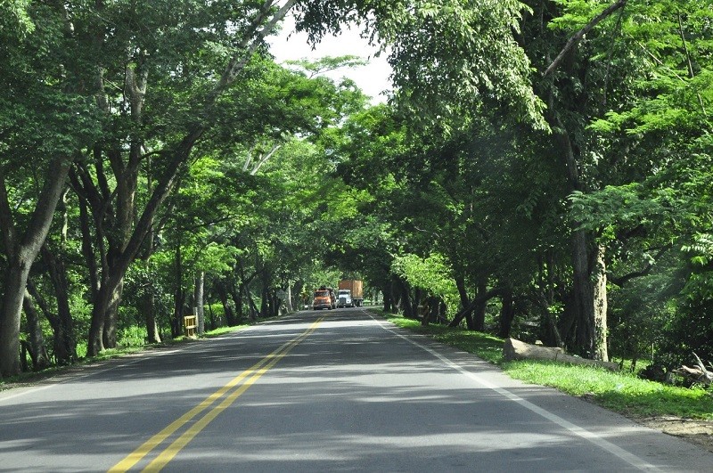 Foto de Secretario de Transito desmiente noticia de fotomulta