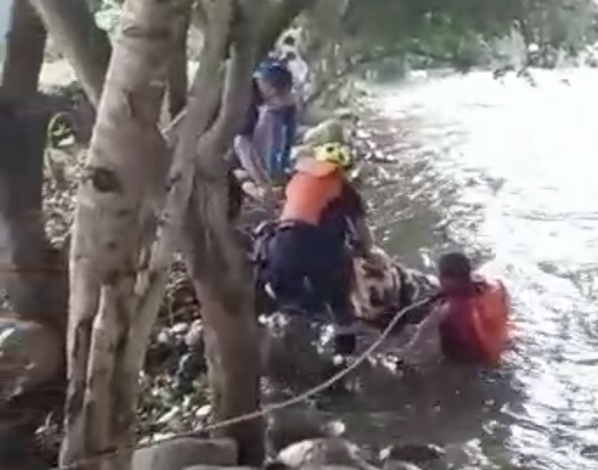 012BECD3-DED0-411B-B8F1-BA2BC384D367