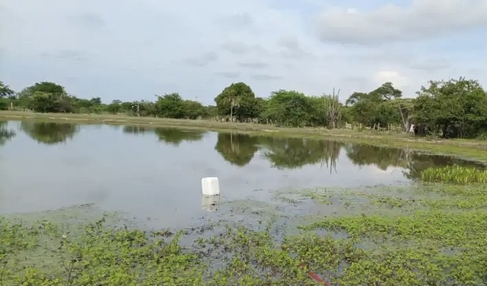 59BA9062-B800-4977-9FC1-9C30E0639D71