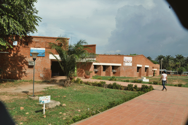 Foto de colegio Consuelo Araujo Noguera