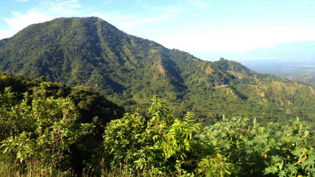 Asesinan en Codazzi a un hombre recién salido de la cárcel | RTA Noticias