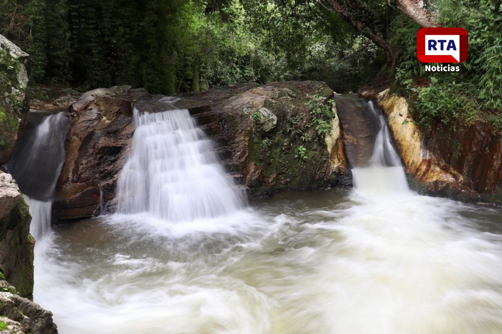 WhatsApp-Image-2021-11-15-at-3.23.48-PM