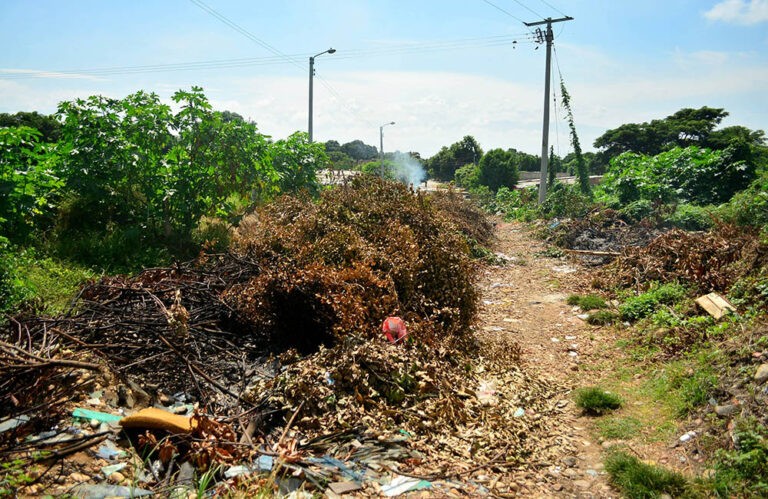 LOTE-ENMONTADO