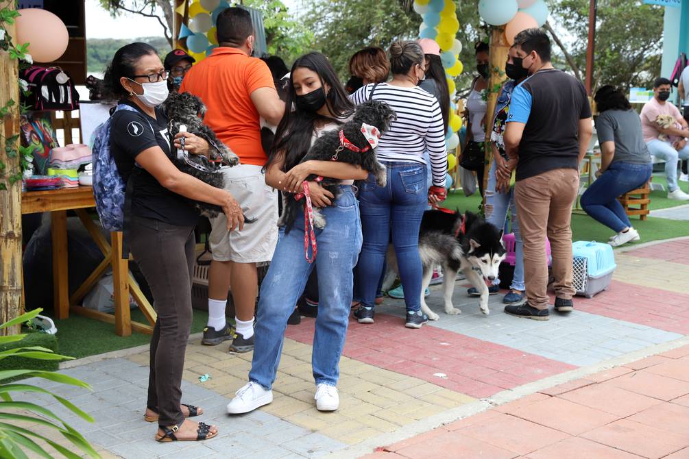 Cachorros y gatos esperan ser adoptados en navidad | RTA Noticias