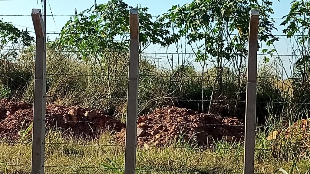 En Urbanización Sábana se quejan por lote abandonado | RTA Noticias