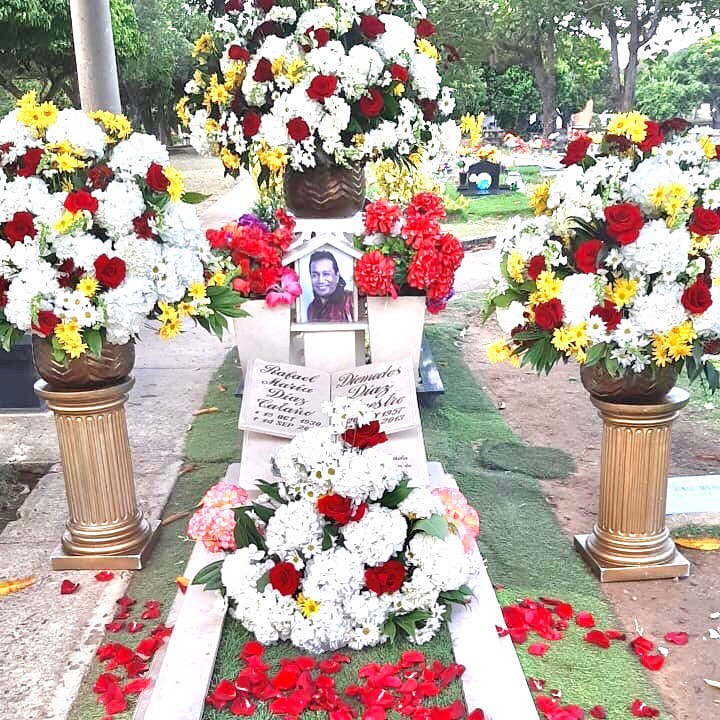 Diomedes Díaz, !Grande por siempre! Diomedes Díaz, !Grande por siempre! | RTA Noticias