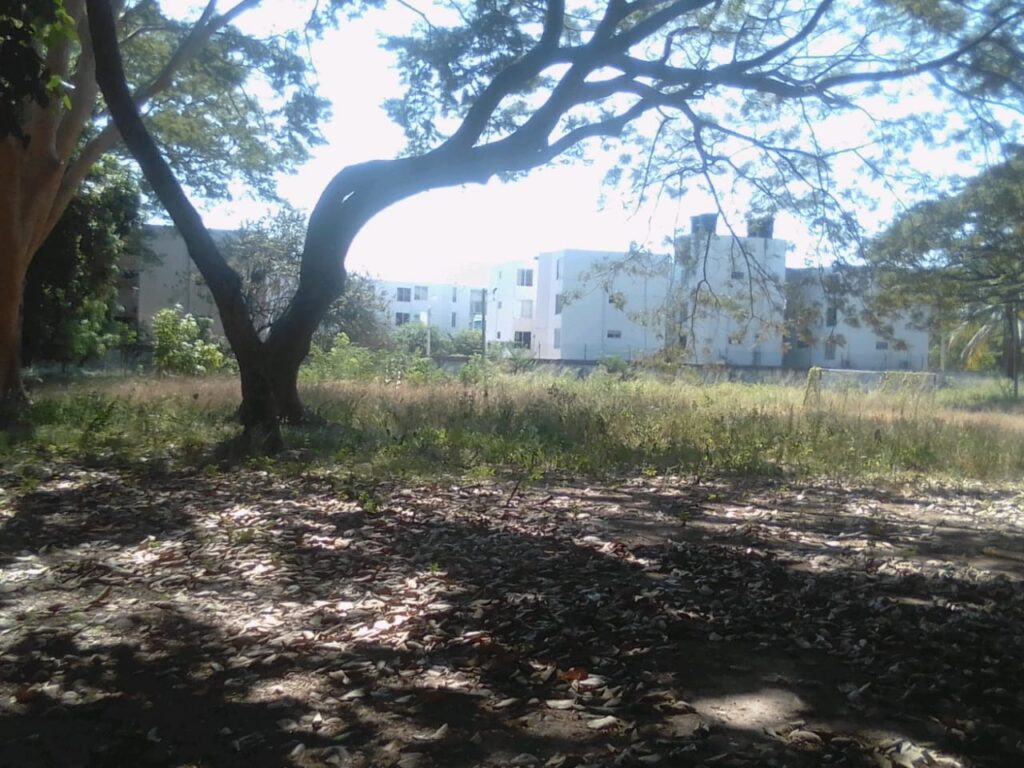 Institución Educativa Manuel German Cuello en abandono Institución Educativa Manuel German Cuello en abandono | RTA Noticias