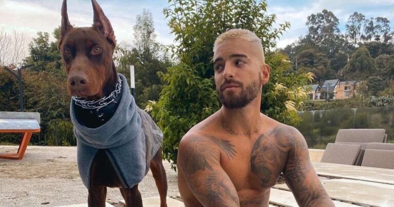 1645449882-perro-doberman-maluma-le-muerde-cara-le-deja-heridas