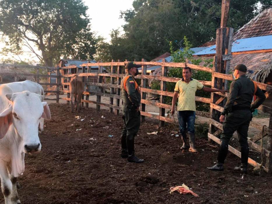 25robo-de-ganadodff_4254820_20210225180729