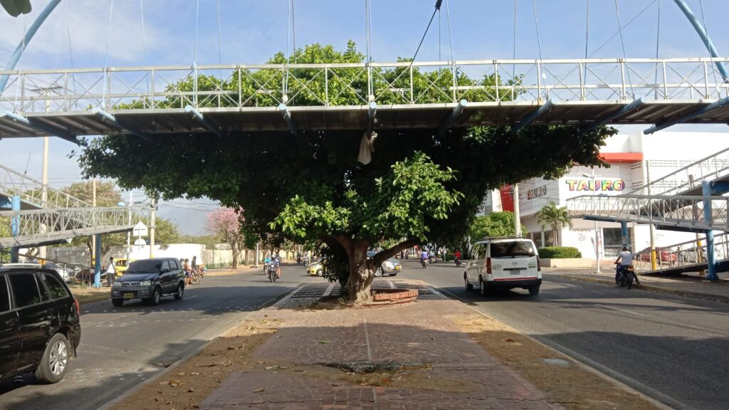 Hombre se lanza de puente peatonal en la avenida Simón Bolívar | RTA Noticias