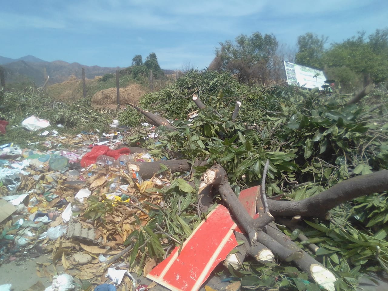 WhatsApp-Image-2022-02-16-at-3.47.43-PM