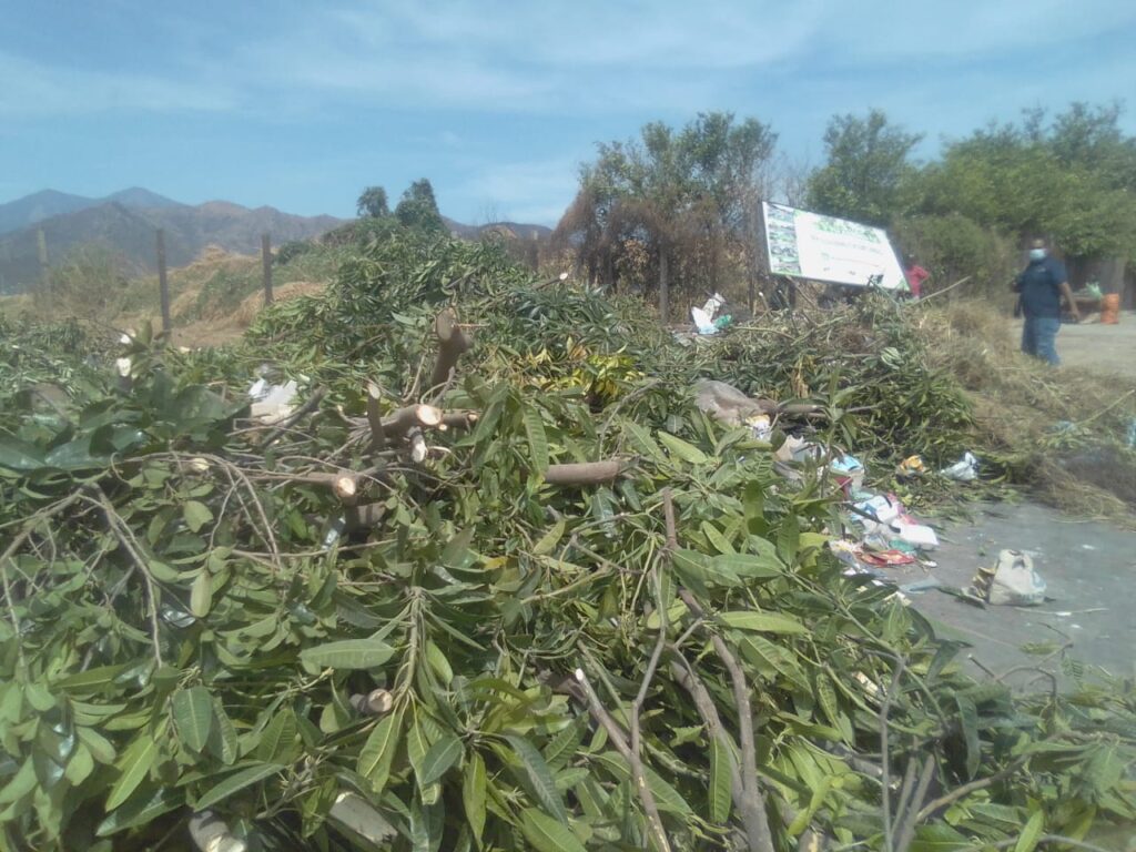 Contraloría municipal atiende queja ambiental en Don Alberto | RTA Noticias