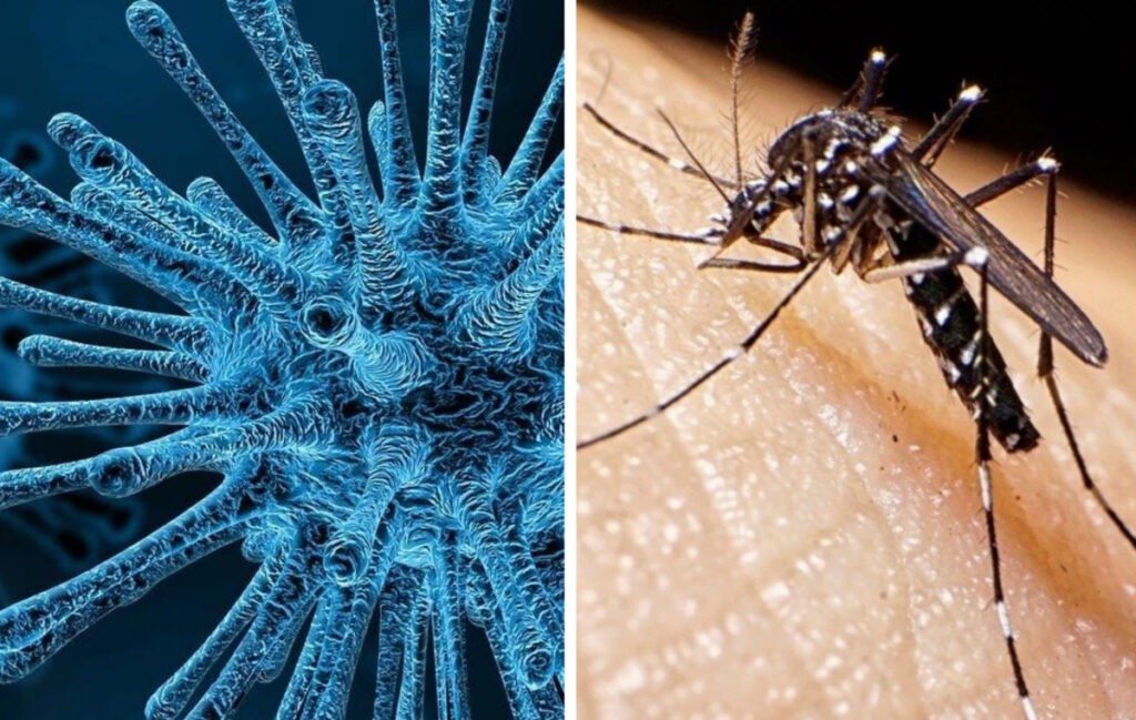 Instituto Nacional de Salud: no existe el "Coronadengue" | RTA Noticias