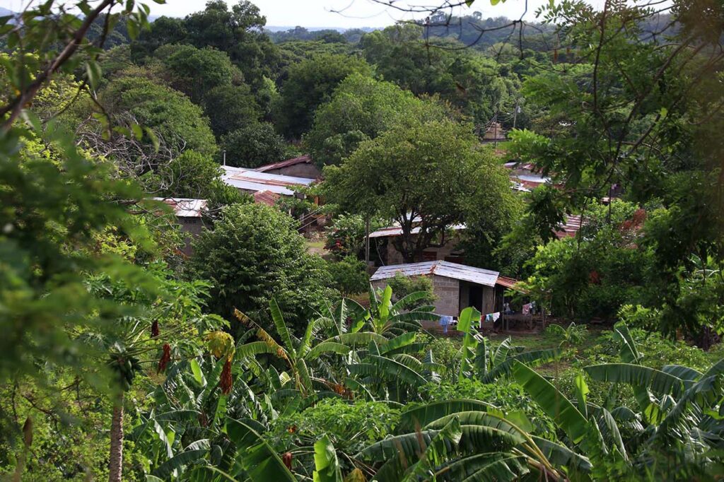 Los Pachencas han ganado territorio en el Cesar | RTA Noticias