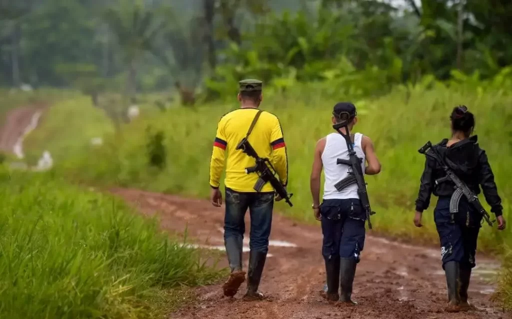 Los Pachencas han ganado territorio en el Cesar | RTA Noticias