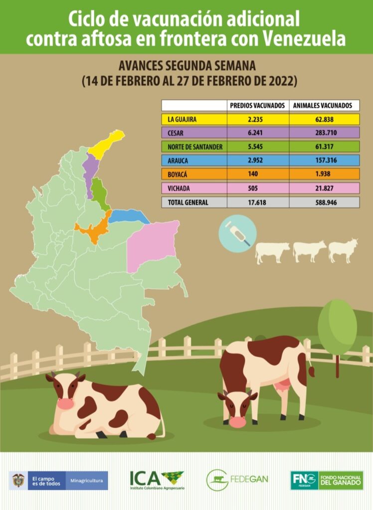 Vacunación contra aftosa en la frontera con Venezuela Vacunación contra aftosa en la frontera con Venezuela | RTA Noticias
