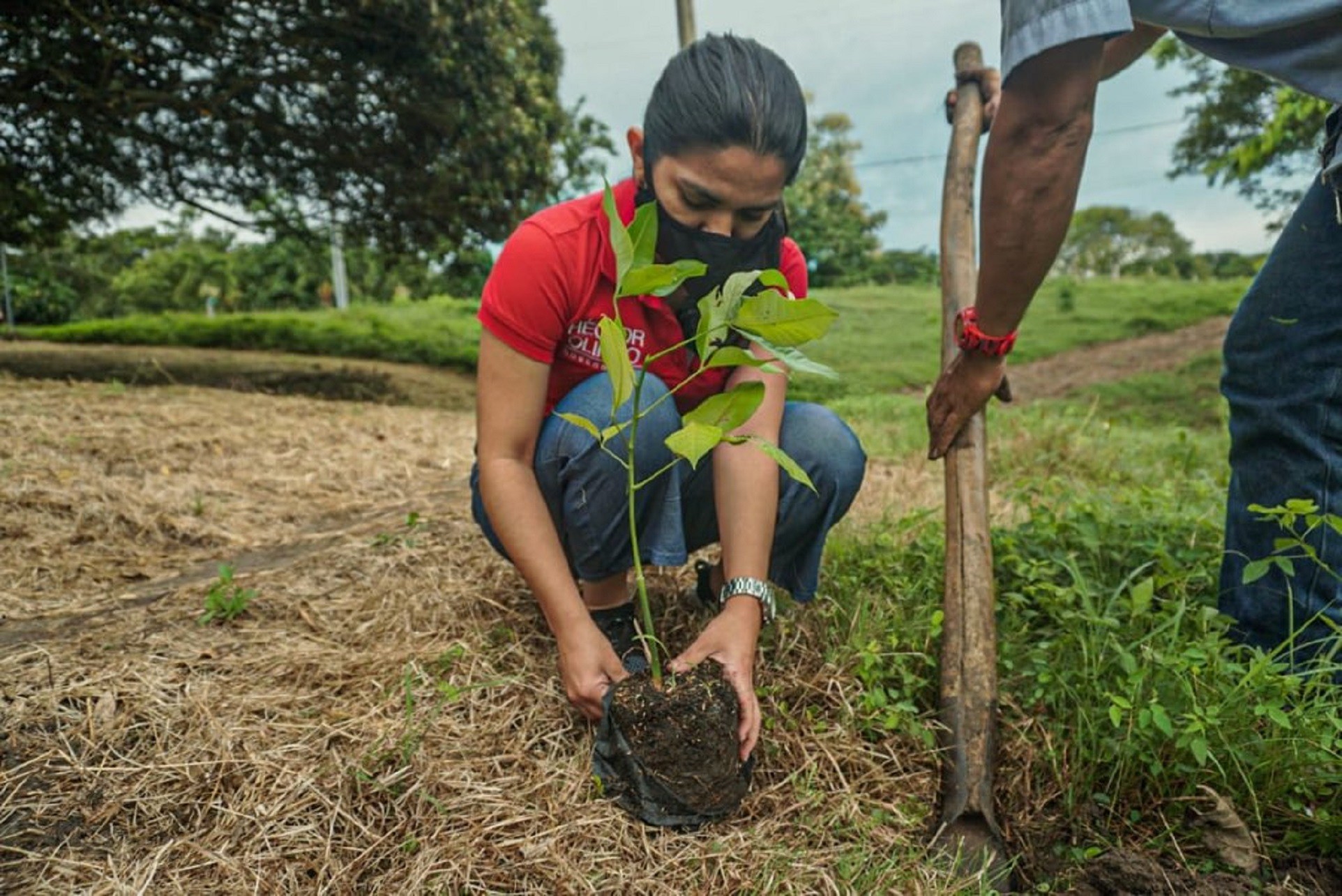Colombia siembra 4 millones de arboles en Día de la Tierra YHSATH2MHVASDDNHVCY5R7YXFQ
