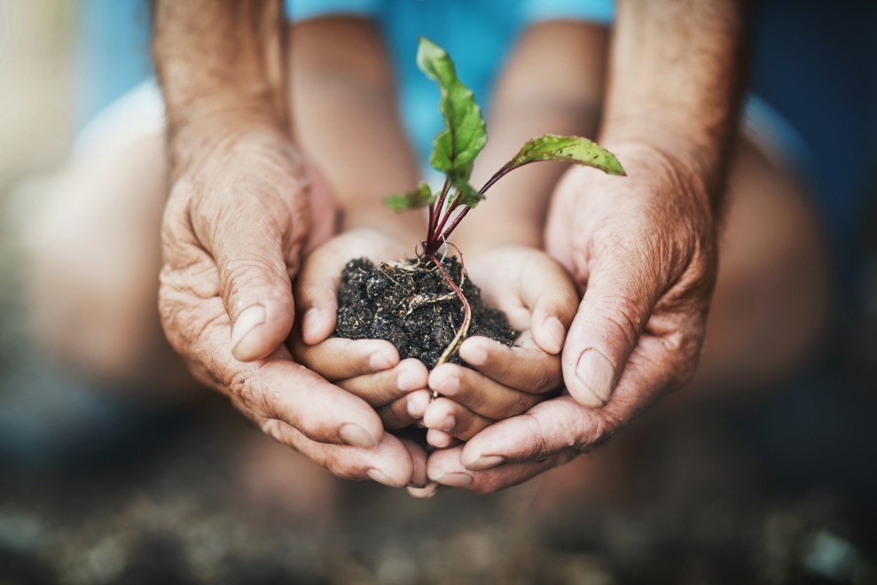 Colombia siembra 4 millones de arboles en Día de la Tierra Colombia siembra 4 millones de arboles en Día de la Tierra | RTA Noticias